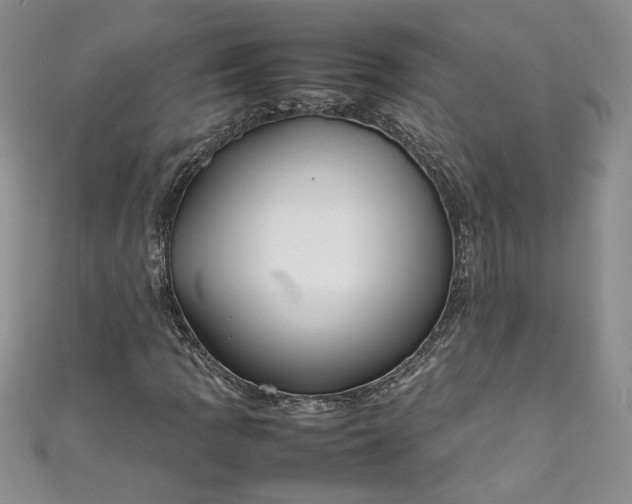 X0000111471109200907271306