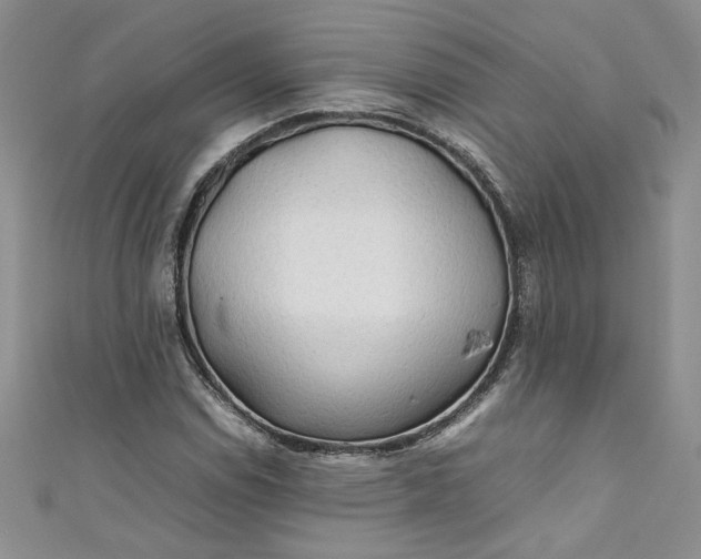 X0000111471114200907271306