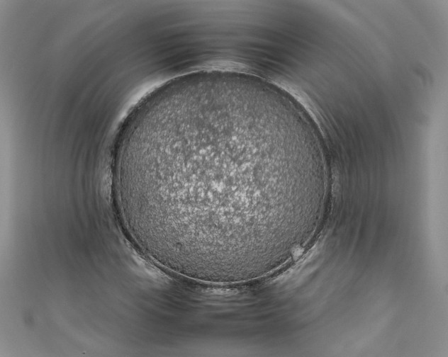 X0000111471115200907271306