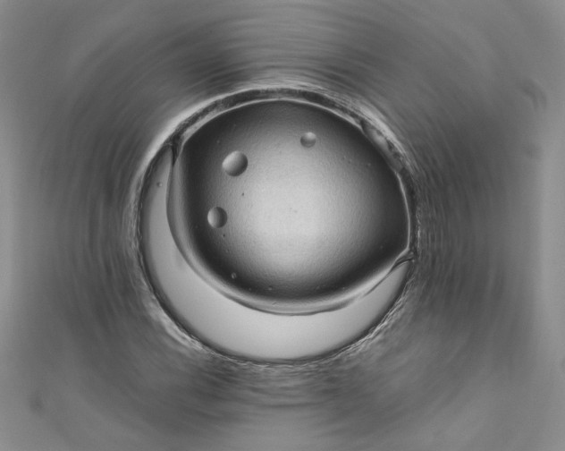 X0000111471116200907271306