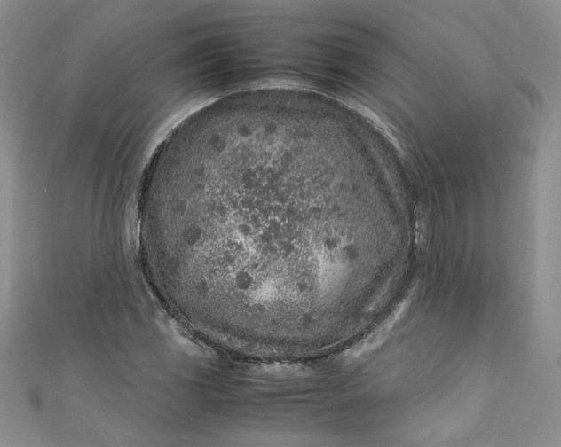 X0000111471117200907271306