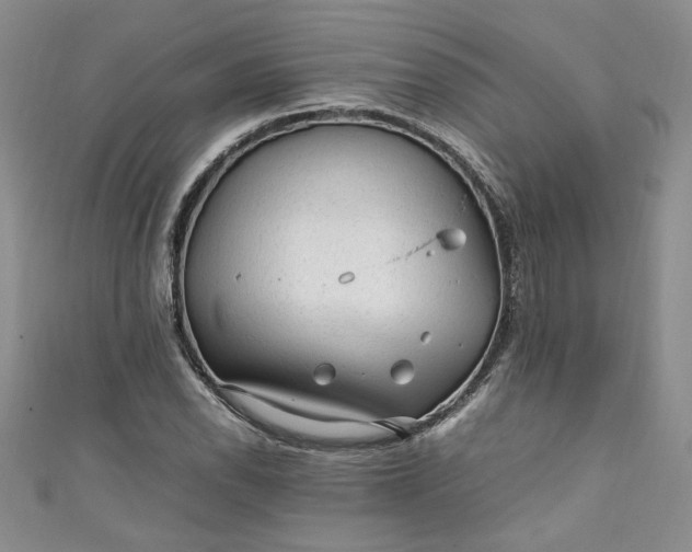 X0000111471118200907271306