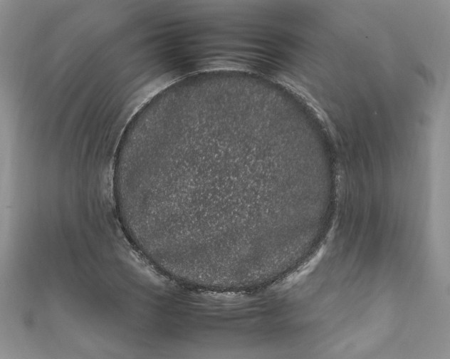 X0000111471121200907271306