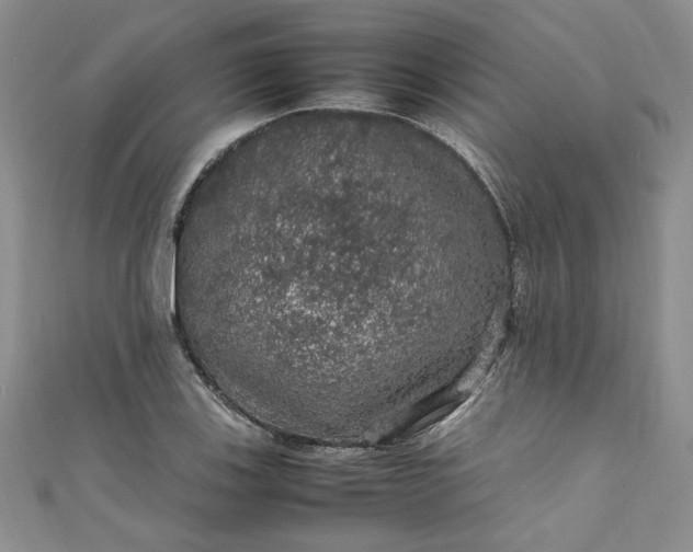 X0000111471123200907271306