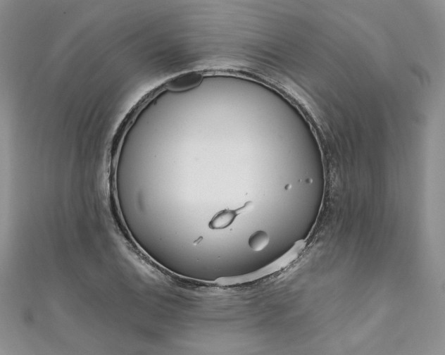 X0000111471124200907271306