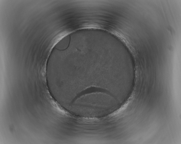 X0000111471129200907271306