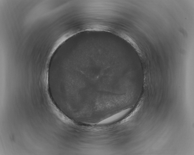 X0000111471130200907271306