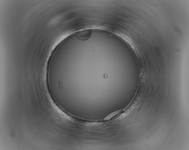 X0000111471135200907271306