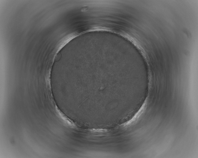 X0000111471137200907271306