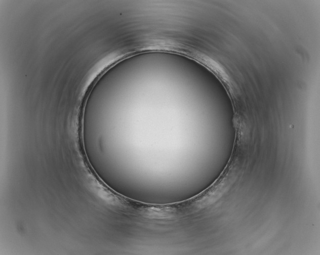 X0000111471138200907271306