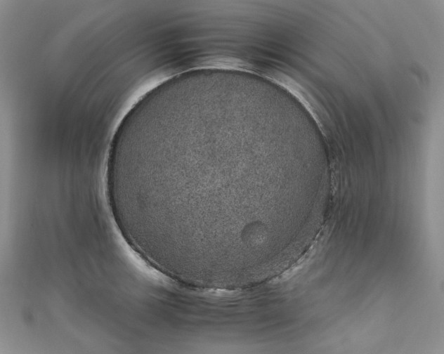 X0000111471139200907271306