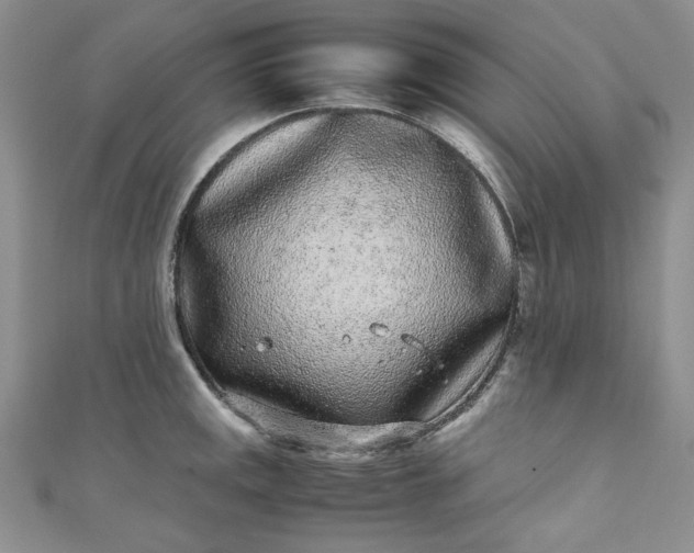 X0000111471141200907271306