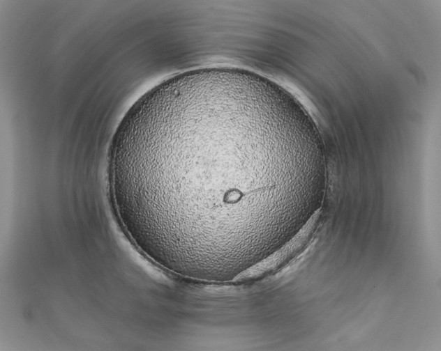 X0000111471142200907271306