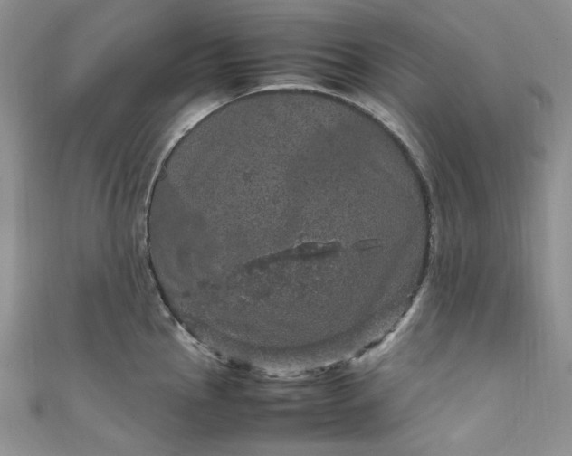 X0000111471145200907271306