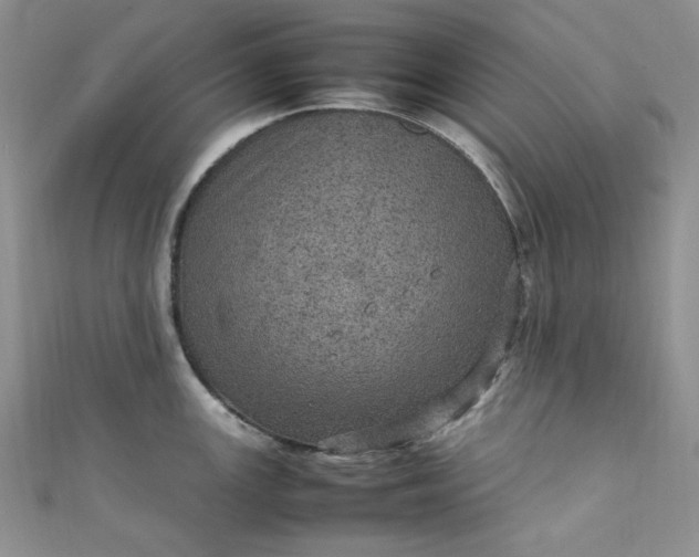 X0000111471147200907271306