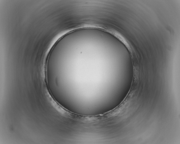 X0000111471148200907271306