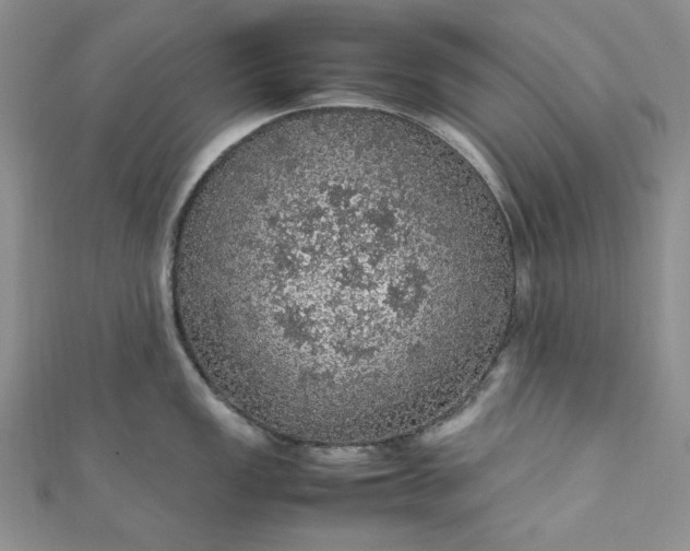 X0000111471149200907271306