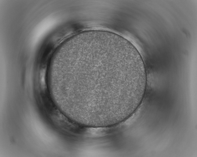 X0000111471150200907271306