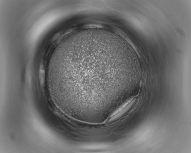 X0000111471151200907271306