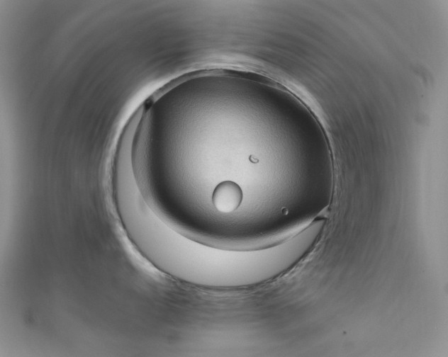 X0000111471152200907271306