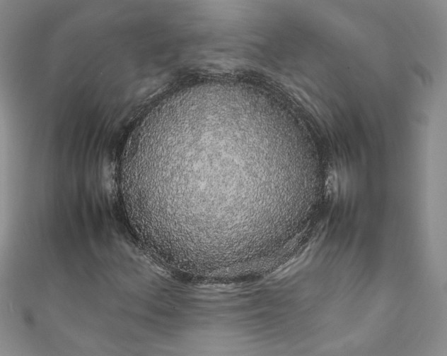 X0000111471156200907271305