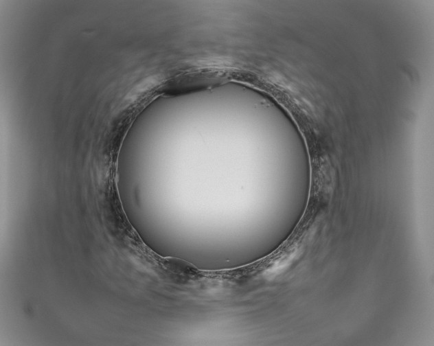 X0000111471157200907271305