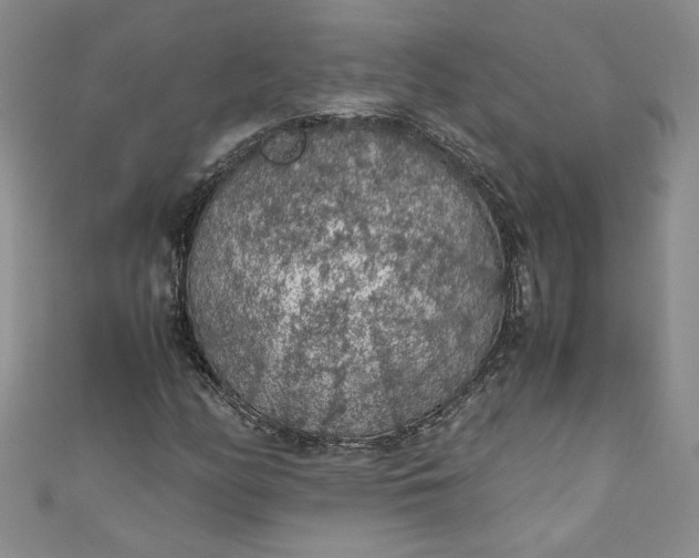 X0000111471158200907271305