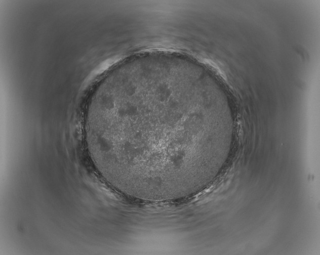 X0000111471159200907271305