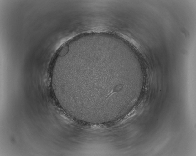 X0000111471160200907271305