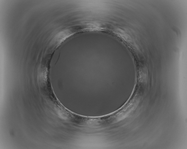 X0000111471161200907271305