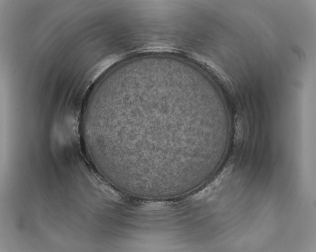 X0000111471162200907271305