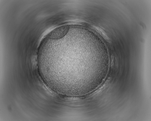 X0000111471164200907271305