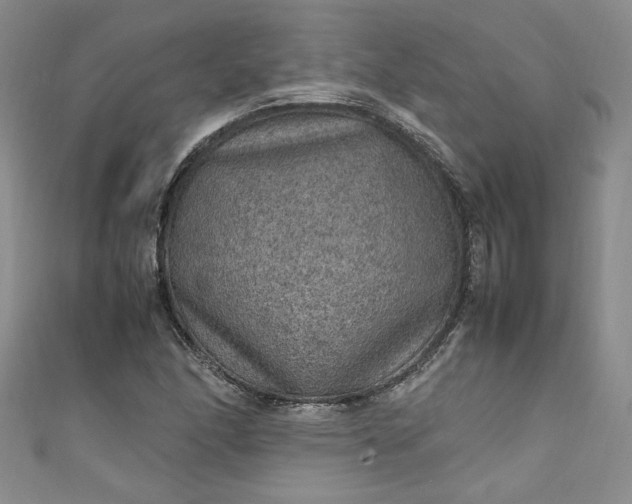 X0000111471166200907271305