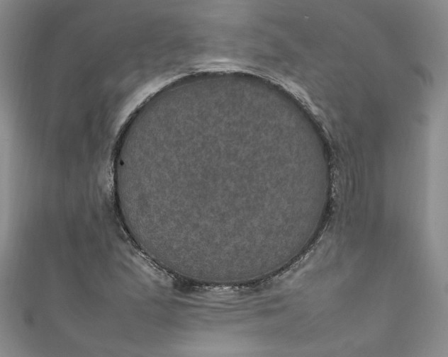 X0000111471167200907271305