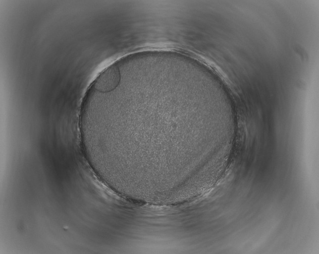 X0000111471168200907271305