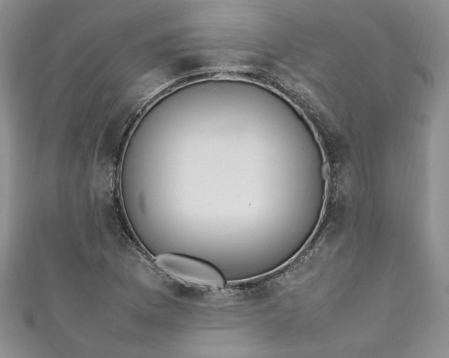 X0000111471169200907271305