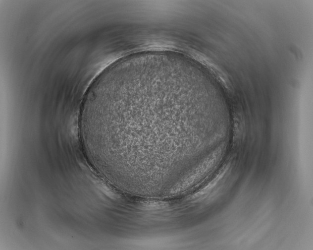 X0000111471170200907271305