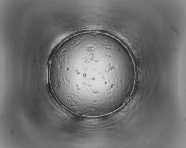 X0000111471171200907271305