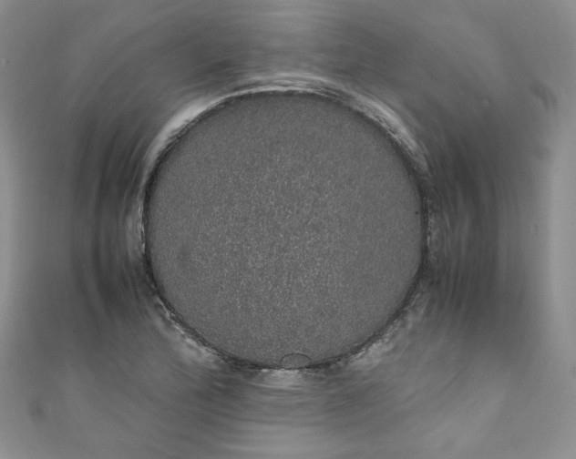 X0000111471172200907271305