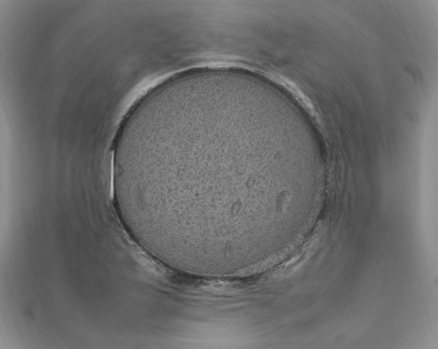 X0000111471175200907271305