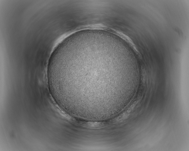 X0000111471176200907271305