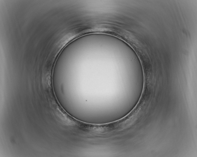 X0000111471177200907271305