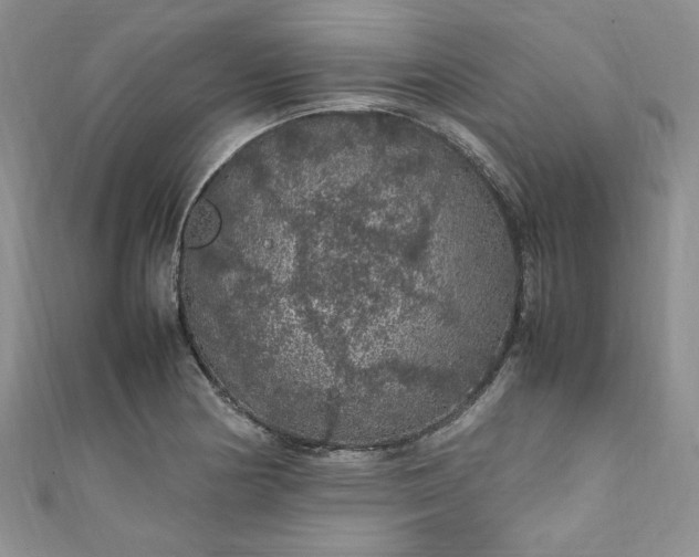 X0000111471178200907271305