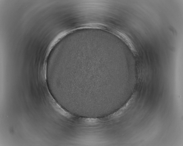 X0000111471180200907271305