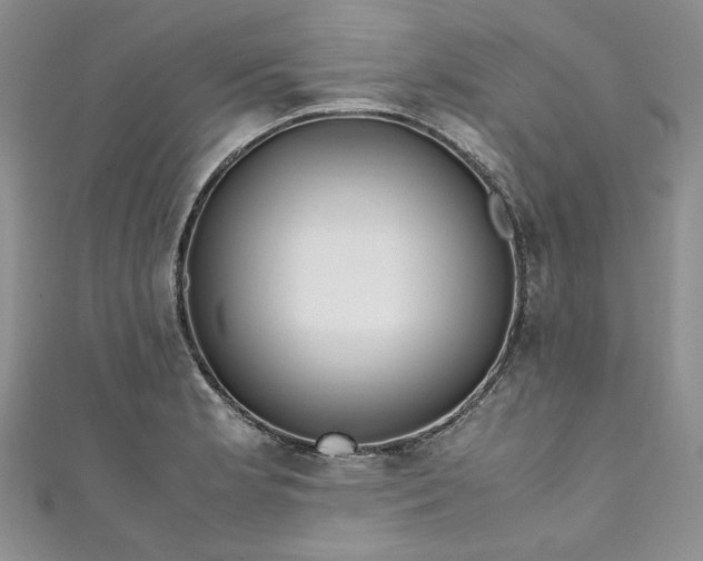 X0000111471181200907271305