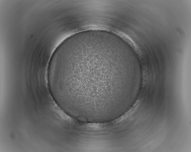 X0000111471182200907271305