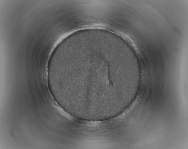 X0000111471184200907271305