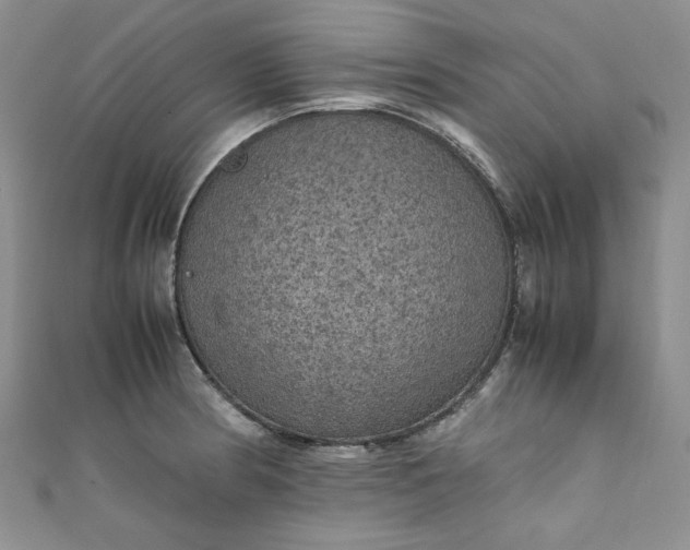 X0000111471186200907271305