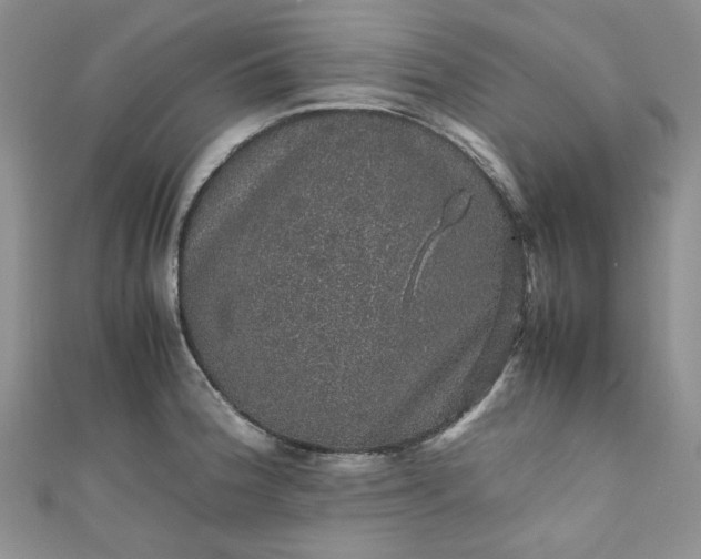 X0000111471188200907271305