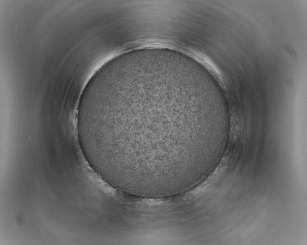 X0000111471190200907271305